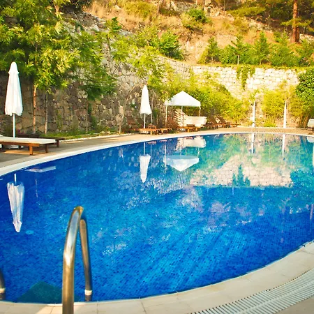 Lissiya 파랄리아