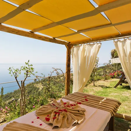 호텔 Lissiya 파랄리아