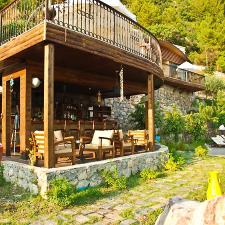 Lissiya Фаралия