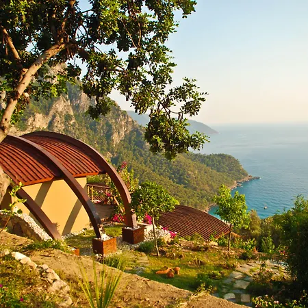 Lissiya Отель Фаралия