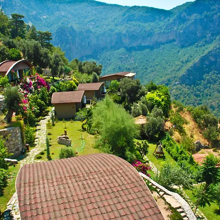 Lissiya 파랄리아