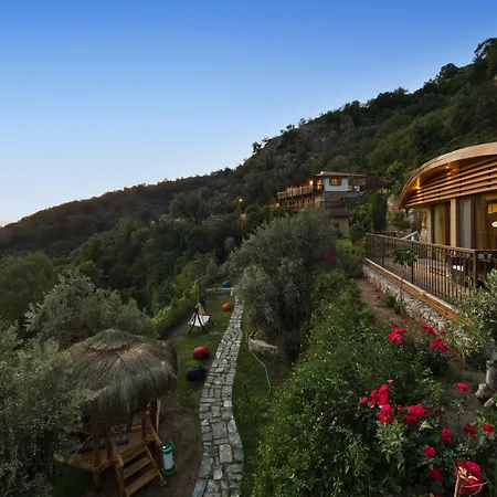 Lissiya 4* Фаралия