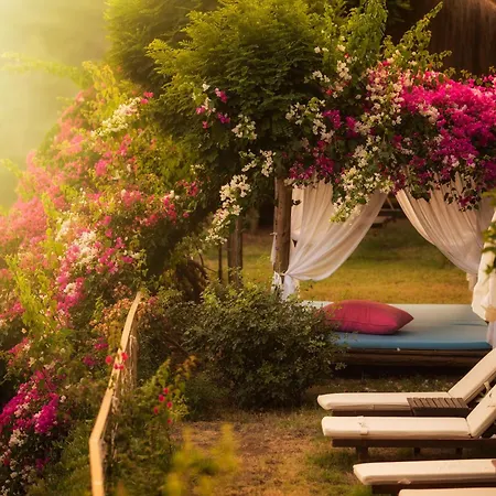 호텔 Lissiya 파랄리아