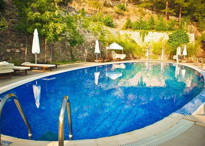 Lissiya Фаралия